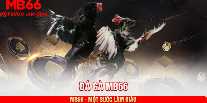 Các hình thức đá gà MB66 phổ biến nhất