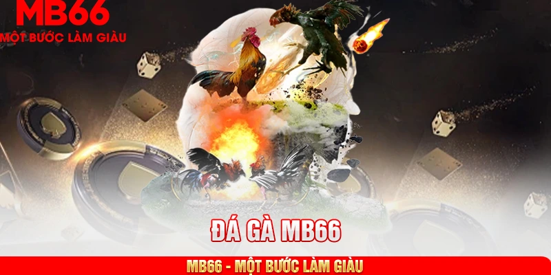 Các loại cá cược đa dạng trong sảnh đá gà MB66
