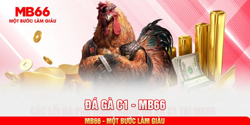Các lối đá phổ biến trong đá gà C1 tại MB66