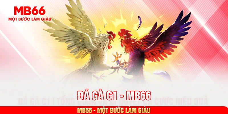 đá gà c1