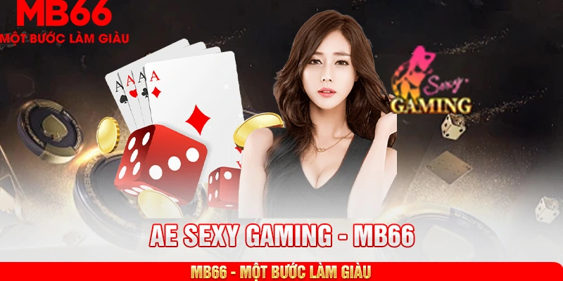 Điểm danh 4 lợi ích thu hút, nổi bật của AE Sexy.
