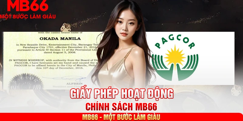 Kể tên một vài giấy phép hoạt động nổi trội