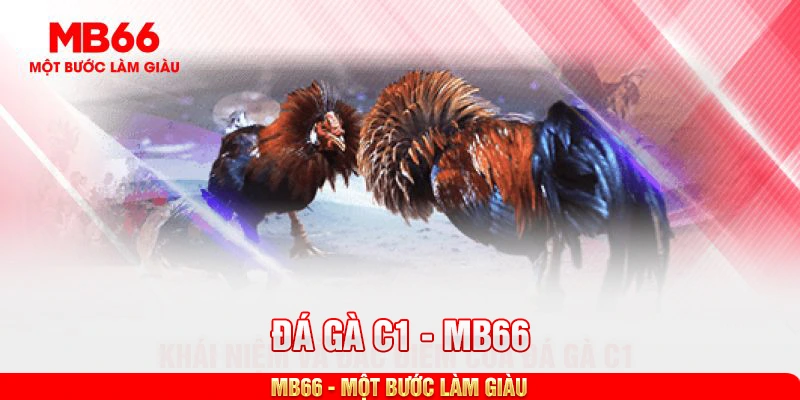 Khái niệm và đặc điểm của đá gà C1
