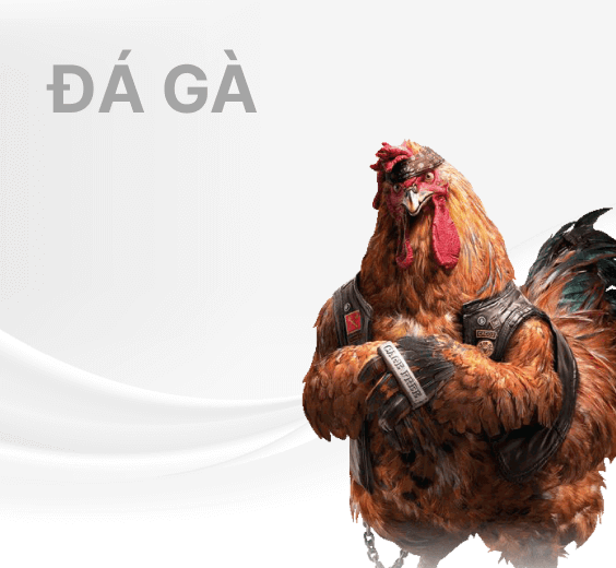 mb66-da-ga