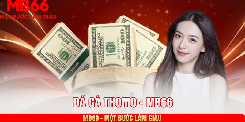Quản lý tài chính hiệu quả