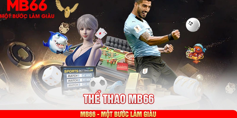 Giới thiệu cơ bản về thể thao MB66