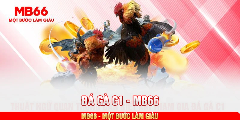 Thuật ngữ quan trọng cần biết khi tham gia đá gà C1